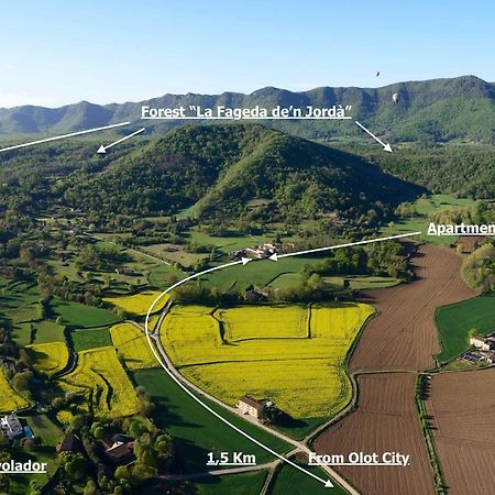 Apartamento "El Lila" - Parking Incluido Olot Eksteriør billede
