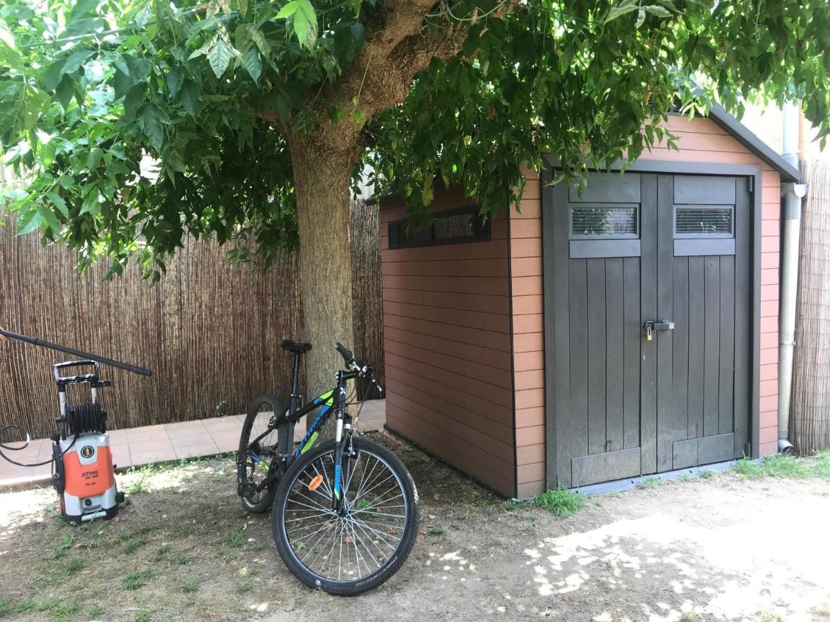 Apartamento "El Lila" - Parking Incluido Olot Eksteriør billede